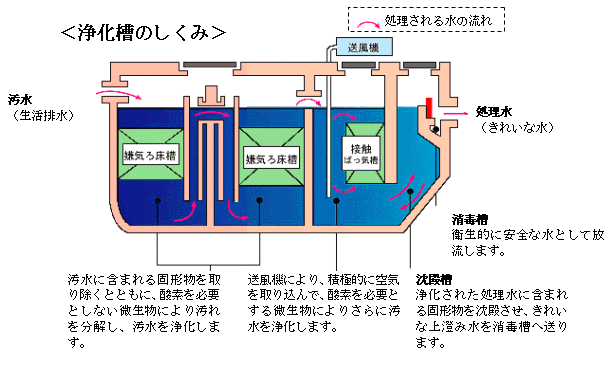 浄化槽