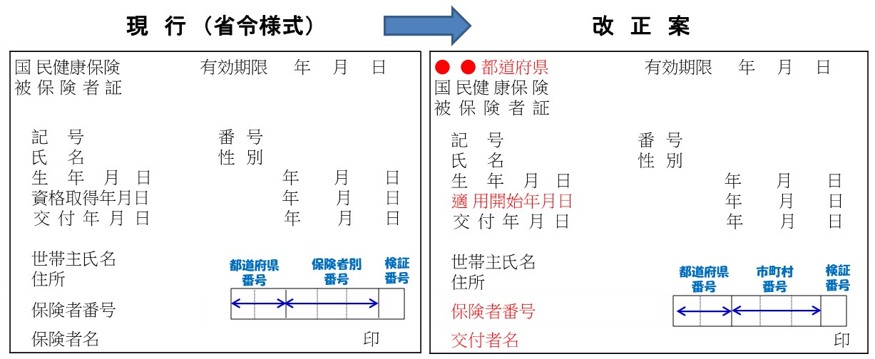 保険証様式