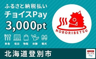 飲食、宿泊、物販、体験、観光などに使えるチョイスPay3000ポイント