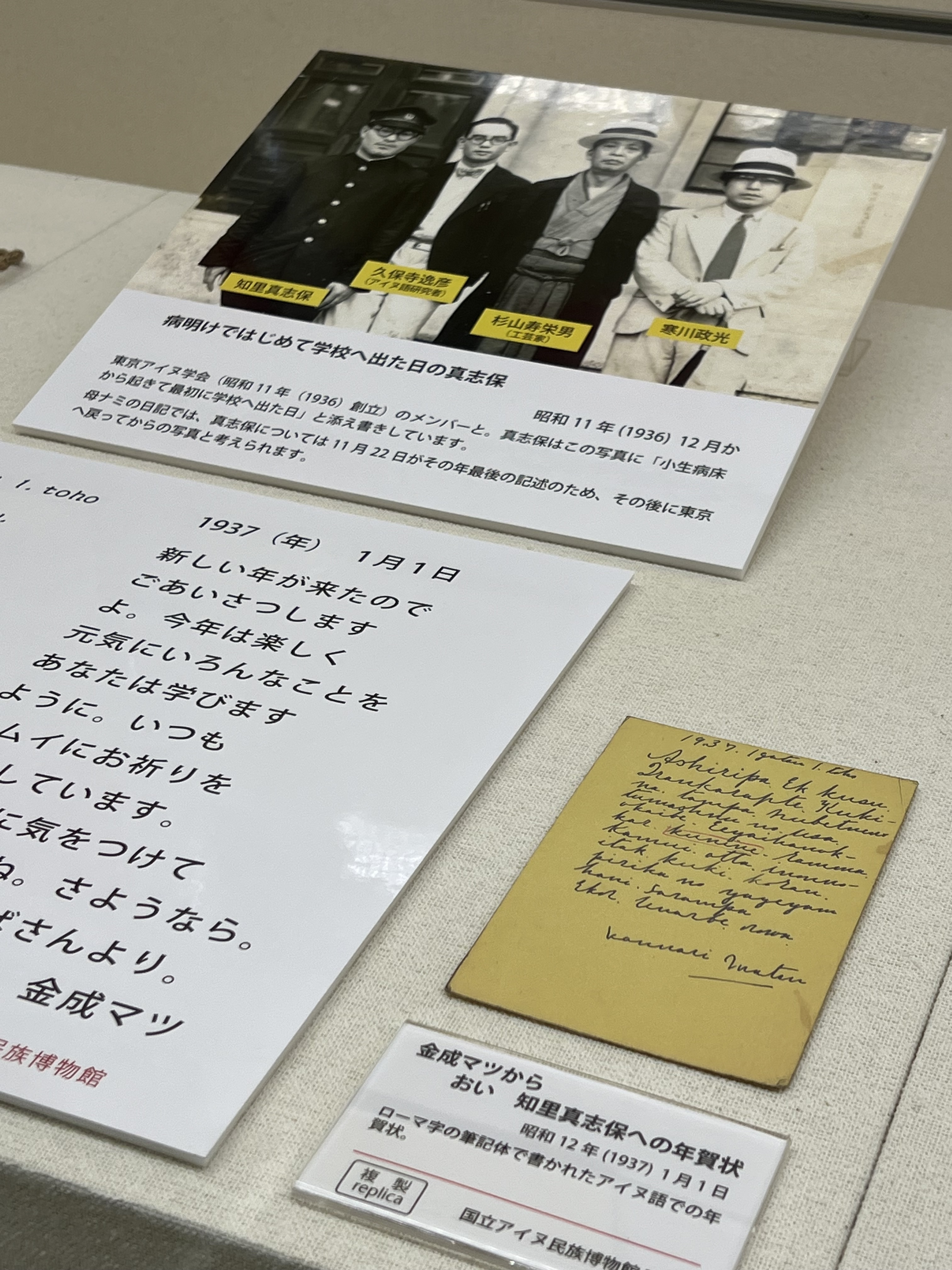 展示の様子