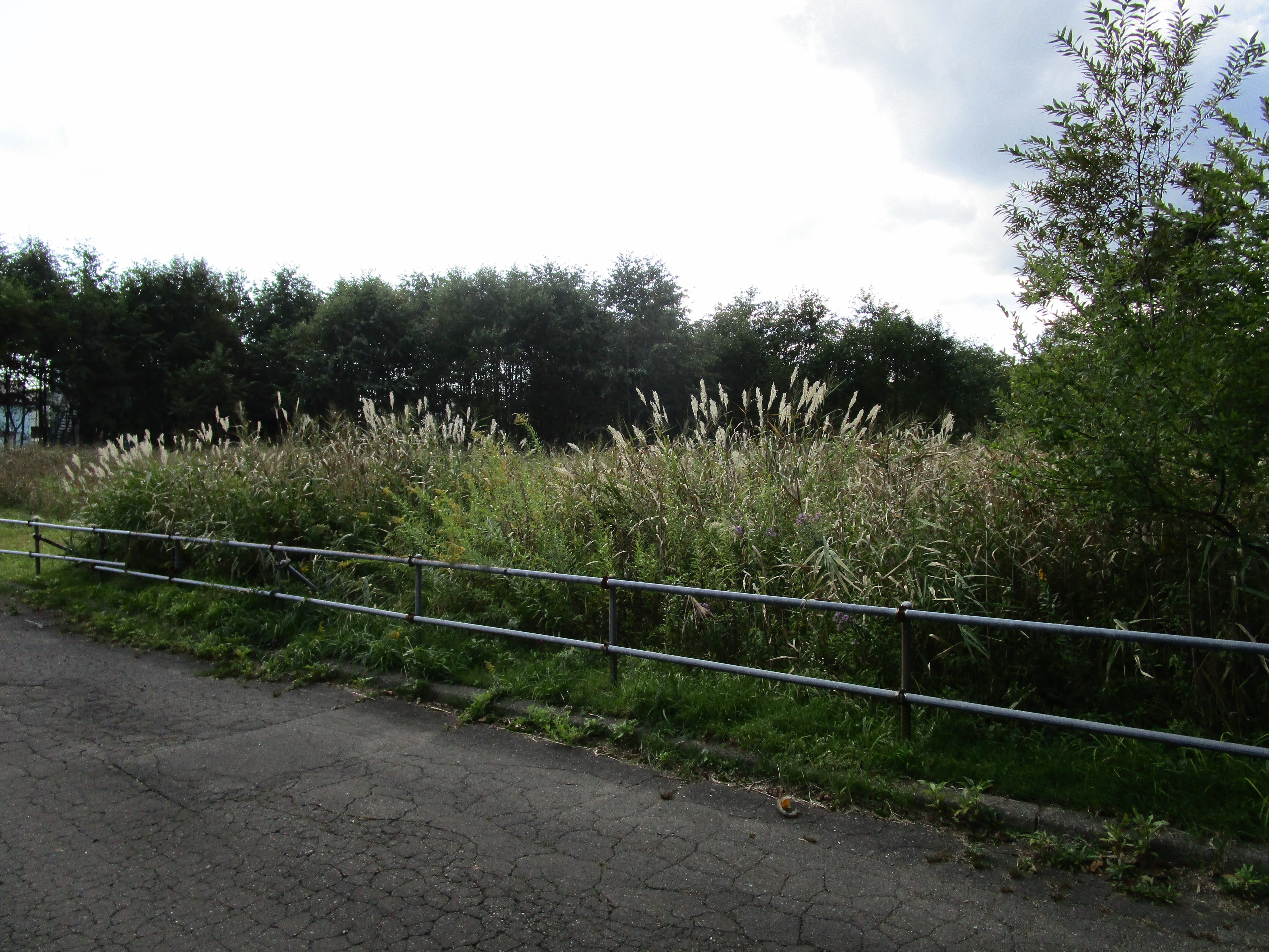 現地写真（物件番号５－２）