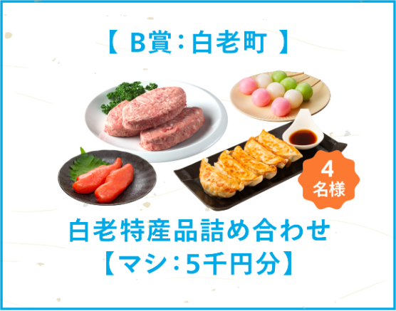 白老B賞