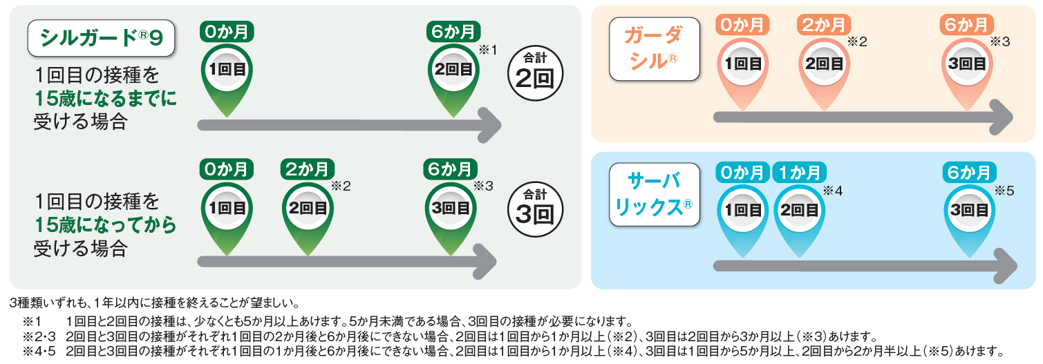 HPV接種スケジュール