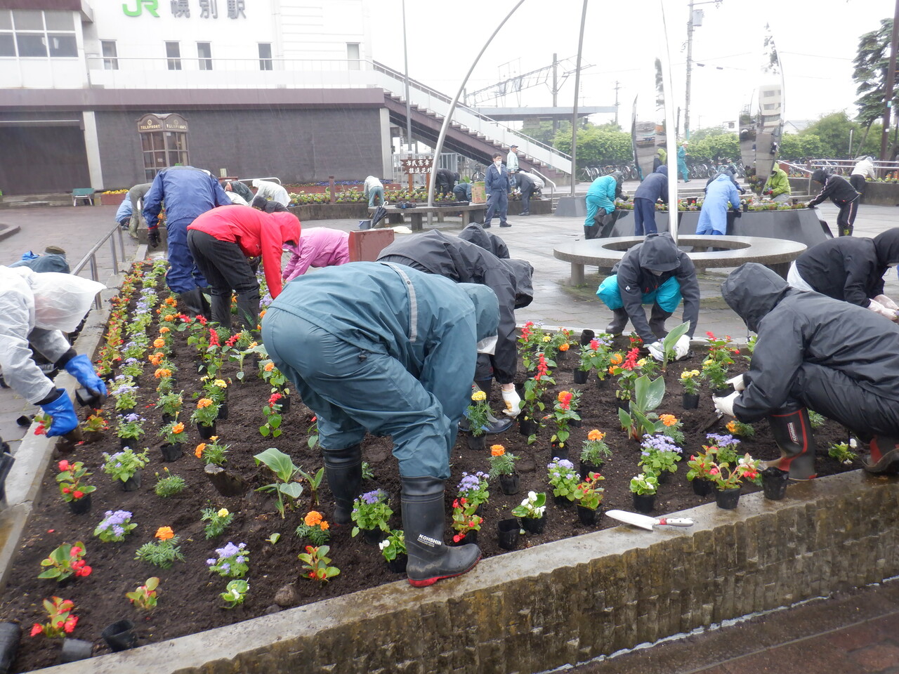 【添付4】幌別花壇・花植え作業②