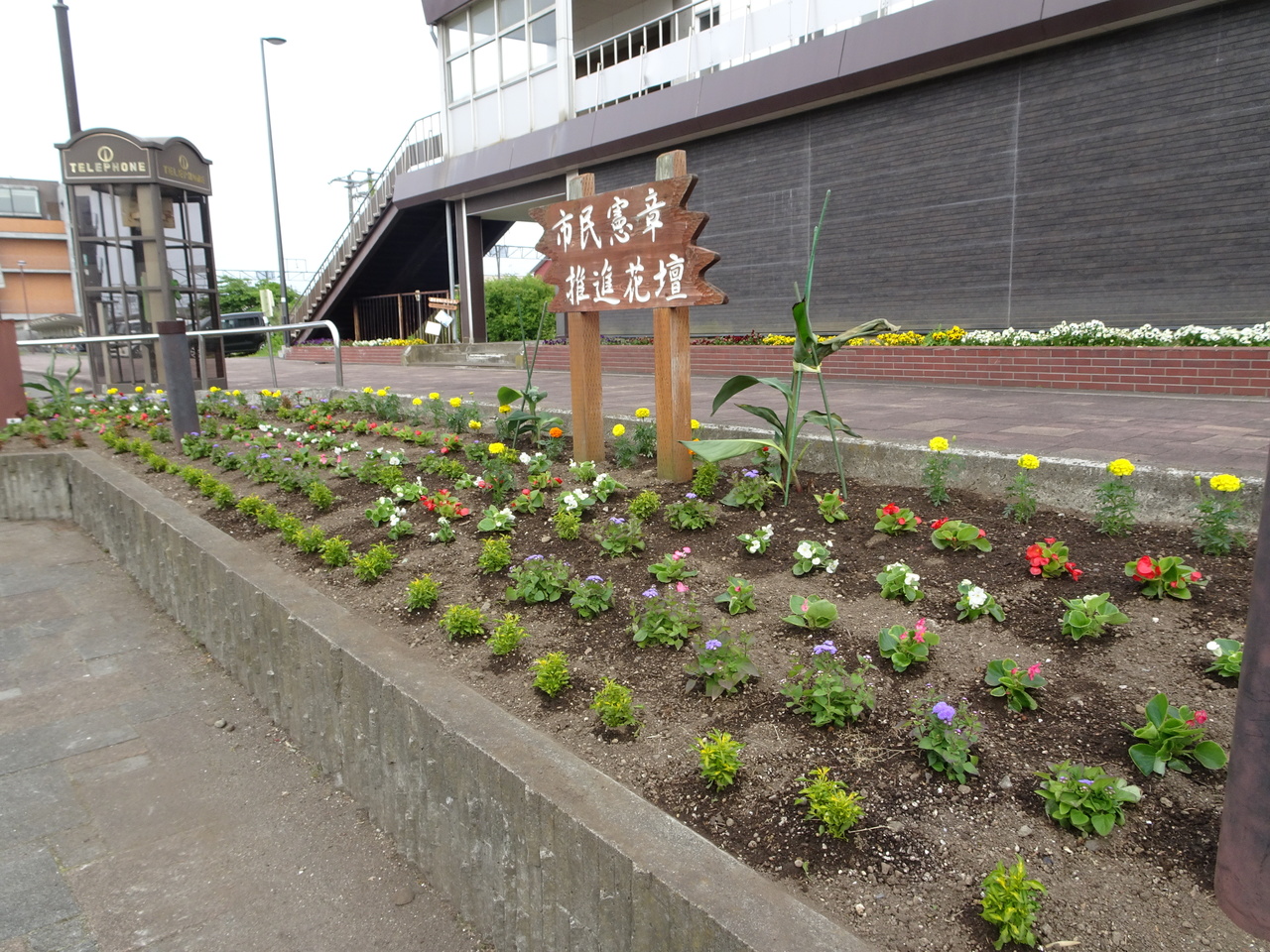 ７