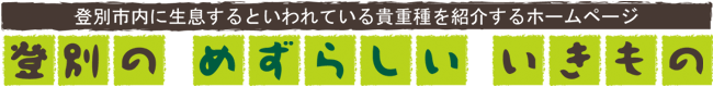 登別の めずらしい いきもの ～登別市内に生息するといわれている貴重種をご紹介～