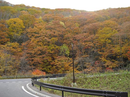 登別温泉街の入り口付近の紅葉の様子