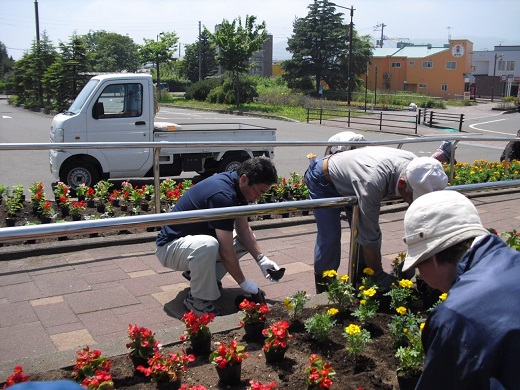 花植え